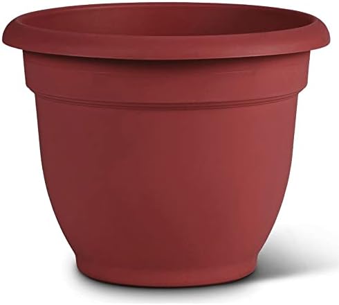 Bloem Ariana Self Watering Planter: 12" - Burnt Red - Durable Resin Pot, for Indoor and Outdoor Use, Self Watering Disk Included, Gardening, 3 Gallon Capacity - Image 6