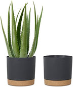 kubvici Plant Pots for Indoor Plants, 2 Pack 10 Inch Plant Pot(10" Black) by kubvici