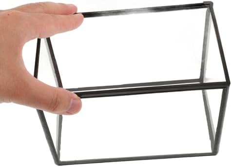 Glass Plant Terrarium Vase for Plants and Flowers - Image 4