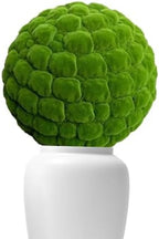 Moss Balls Decorative Round Dia 8in, Artificial Green Plant Decorative Balls, Large Cypress Topiary Ball, Topiary Tree Plants, Topiary Ball Artificial Boxwood Balls by ATYUJKB