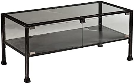 SEI Furniture Metal Terrarium Fish Display Coffee Table, Cocktail, Black/Silver Distressing by SEIFurniture