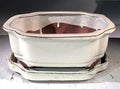 Bonsai Boy L376 8 x 6 x 3 in. Ceramic Bonsai Pot Beige - Rectangle by Bonsai+Boy