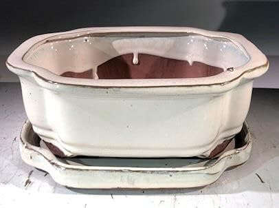 Bonsai Boy L376 8 x 6 x 3 in. Ceramic Bonsai Pot Beige - Rectangle by Bonsai+Boy