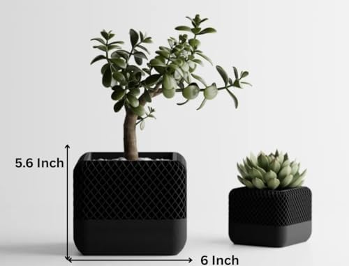 Modern Black Square Planter Pots with Geometric Lattice Design, Set of 2, Indoor Succulent and Bonsai Planters - Image 4