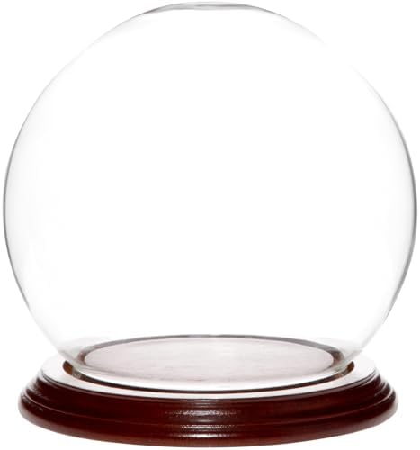 Plymor 5" x 6" Glass Display Dome Globe Cloche (Walnut Veneer Base), Pack of 2 by Plymor