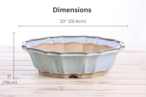 Willow Bonsai Ceramics Flower Design Bonsai Pot 10 Inch – Elegant Ceramic Bonsai & Succulent Pot, High‑Fired Frost‑Proof Stoneware with Drainage+Wiring Holes, Handmade USA (Glacier, 10inch) - Image 4