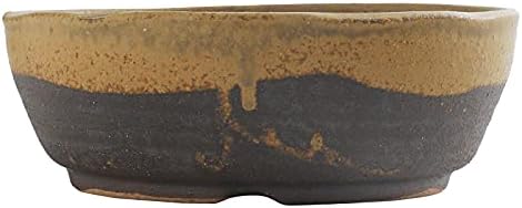 Wazakura Shigaraki Series Yellow Dust Stripe Glazed Ceramic Bonsai Pot - Image 2