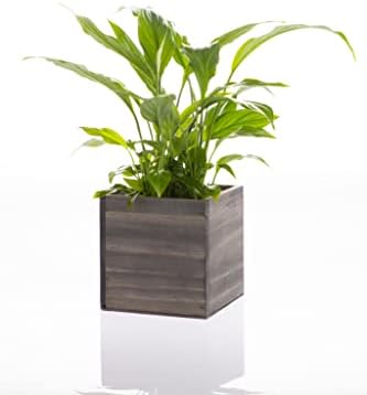 Wooden Planter Box, Rustic Barn Wood with Plastic Liner l Garden Decor l Restaurant and Wedding Decorations l Wedding Bouquets, Table Centerpiece (5x5 Set of 4, Natural) - Image 3