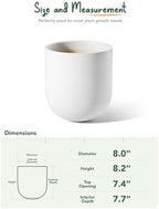 LE TAUCI 8 Inch Ceramic Plant Pot, Indoor Planter, White - Image 5