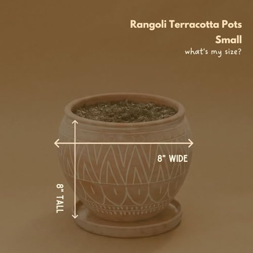 Small Terracotta Pot with Terracotta Saucer, Plant Pot with Drainage, Engraved Boho Rangoli Design, 8 Inch Plant Pot - Image 3
