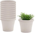 Bloem Terra 4" Plastic Planter, 0.25 Gallon, Vanilla Bean, 10-Pack by Bloem