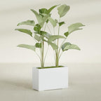 Greenline Leo Tall Rectangular Fiberglass Planter, Outdoor Planter Box - Image 4