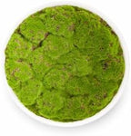 Ceramic Moss Bowl | 10 Inch | Artificial Moss Centerpiece | Minimalist Decorative Bowl - Image 4