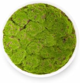 Ceramic Moss Bowl | 10 Inch | Artificial Moss Centerpiece | Minimalist Decorative Bowl - Image 4