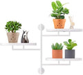 Window Plant Shelf, Wall Mounted Rotating Plant Holder Indoor by YFFSRJDJ