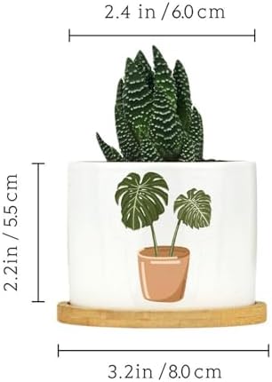 DreamAutumn Pack of 3 Plants Planter Ceramic Round Plant Pots with Drainage Holes and Bamboo Tray Planting Small Flower Pots for Home Windowsill Desk Garden Indoor Outdoor Use - Image 2