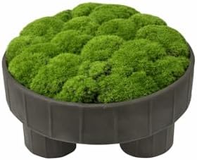 Quad Pedestal Moss Bowl | 11 Inch Matte Black | Artificial Moss Centerpiece | Modern Decorative Bowl - Image 4