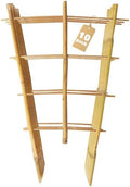 Bamboo Trellis 10 Pack, 36 Inches/3FT S3 Natural Bamboo Plant Fan Stakes, Fan-Shaped Plant Support Stand for Orchid Vines, Monarchs, Ivy and Other Plants Climbing, Help Plant Growth by SprigraFocusedonGardening