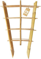 Bamboo Trellis 10 Pack, 36 Inches/3FT S3 Natural Bamboo Plant Fan Stakes, Fan-Shaped Plant Support Stand for Orchid Vines, Monarchs, Ivy and Other Plants Climbing, Help Plant Growth by SprigraFocusedonGardening