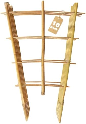 Bamboo Trellis 4FT, S3 Natural Bamboo Plant Fan Stakes 48 Inch 10 Pack, Fan-Shaped Plant Support Stand for Orchid Vines, Monarchs, Ivy and Other Plants Climbing, Help Plant Growth by SprigraFocusedonGardening