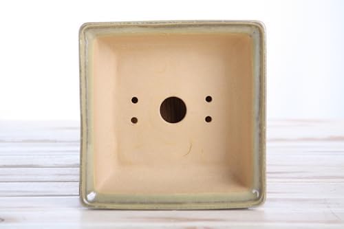 Willow Bonsai Ceramics Square Bonsai Pot 6 Inch – Low‑Profile Square Ceramic Bonsai & Succulent Pot with Accentuated Rim, High‑Fired Frost‑Proof Stoneware, Handmade in USA (Copenhagen, 6inch) - Image 5