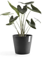 Ecopots Amsterdam Round Flower Planter, Dark Grey, 12" - Image 5