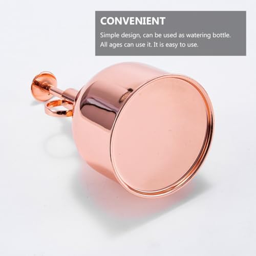 Vintage 300ml Watering Bottle with Pump Stainless Steel Sprayer for Plants - Image 3
