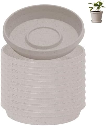 Bloem Terra Plastic Saucer Tray for 6" Terra Planter, Vanilla Bean, 10-Pack by Bloem