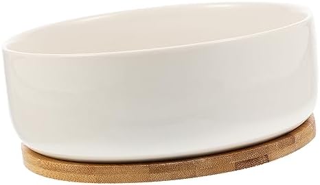 Ceramic Succulent Pot with Tray, White round Planter for Small Plants by COOPHYA