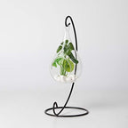WGV Glass Hanging Plant Terrarium Bulk, Width 3", Height 5.5", Teardrop DIY Air Succulent Planter Clear Tea Light Votive Candle Holder, Wedding Event Office Home Outdoor Decor, 6 Pieces - Image 6
