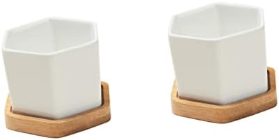 Outanaya Medium Ceramic Succulent Pots Set of 2 with Bamboo Tray Hexagonal Cactus Planter for Home Decor Drainage Design for Potted Plants by Outanaya