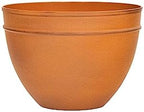 Achla Designs Small Planting Pot, Burnt Sienna by ACHLADesignsHomeGarden
