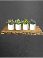SODEF 4 Piece Small White Flowerless Planter Set Concrete Decorative Pots Modern Beige - One Size by Unknown