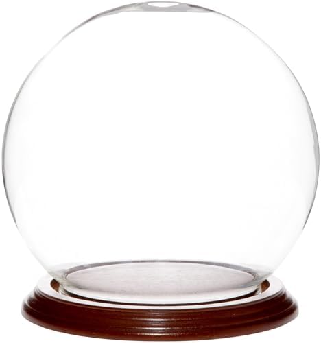 Plymor 6" x 7" Glass Display Dome Globe Cloche (Walnut Veneer Base), Pack of 4 by Plymor