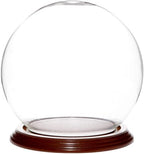 Plymor 6" x 7" Glass Display Dome Globe Cloche (Walnut Veneer Base), Pack of 4 by Plymor