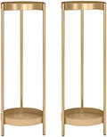 30" Plant Stand, 2 Tier Metal Flower Plants Holder with 2 Removable Display by Fashionoda