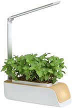 Automated Plant Growing Set with Full Spectrum Lighting and Height Adjustable Lamp for Vegetables Home Gardening Soil and Water Cultivation Planter - Image 3