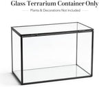 Glass Plant Terrarium with Lid, Rectangular Black Metal Frame Box for Indoor Plants, Clear Glass Container for Moss, Succulent, Fairy Garden, Tabletop Decor DIY Gift, 8.3”L x 4.7”W x 5.5”H - Image 5