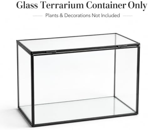 Glass Plant Terrarium with Lid, Rectangular Black Metal Frame Box for Indoor Plants, Clear Glass Container for Moss, Succulent, Fairy Garden, Tabletop Decor DIY Gift, 8.3”L x 4.7”W x 5.5”H - Image 5
