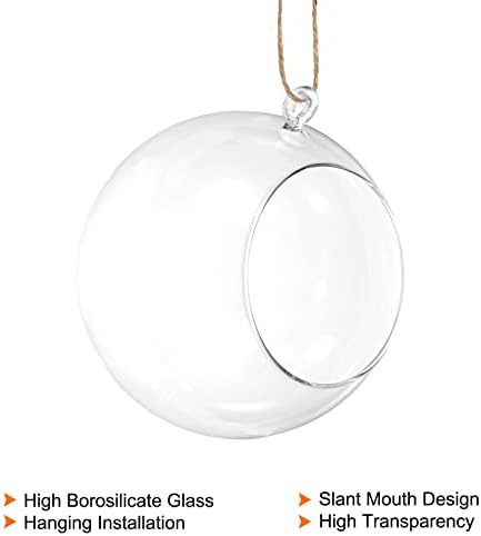 PATIKIL Round Globe Terrarium Air Plant Planter, 6.3 Inch Clear - Image 3