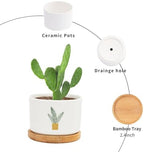 DreamAutumn Plants Ceramic Flower Pots Set of 3,Gardening Plant Pot with Drainage Holes and Saucers Round Ceramic Pots for Indoor Plants Succulent Herbs Cactus Pots - Image 3