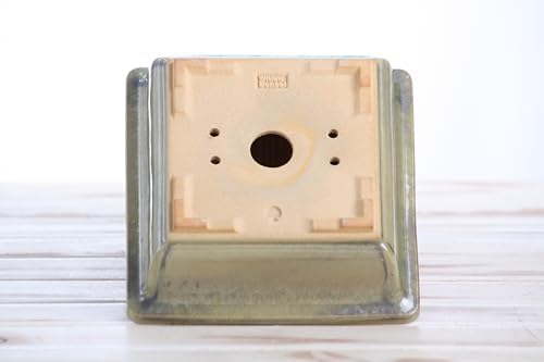 Willow Bonsai Ceramics Square Bonsai Pot 6 Inch – Low‑Profile Square Ceramic Bonsai & Succulent Pot with Accentuated Rim, High‑Fired Frost‑Proof Stoneware, Handmade in USA (Copenhagen, 6inch) - Image 6