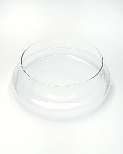 Handblown 10" Glass Terrarium with Opening for Air Flow & Cork Stopper Cloche Style Glass Dome Vivarium Display Case (Large) - Image 5