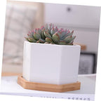 White Ceramic Hexagonal Succulent Pots Set of 2 with Bamboo Tray - Image 6