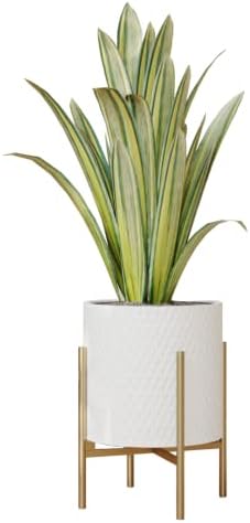 EverNest Claire Mid-Century Modern White Planter and Stand, Indoor Plant Pot, SelectBase, Minimalist Aesthetic, Home Decor for Plants - (Gold Base, Medium) by EverNest
