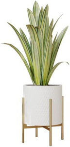 EverNest Claire Mid-Century Modern White Planter and Stand, Indoor Plant Pot, SelectBase, Minimalist Aesthetic, Home Decor for Plants - (Gold Base, Medium) by EverNest