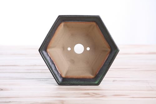 Willow Bonsai Ceramics Hexagonal Windowed Bonsai Pot 5 Inch – Semi‑Cascade Planter, High‑Fired Frost‑Proof Stoneware with Drainage & Wiring Holes, Handmade in USA (Avocado) - Image 5