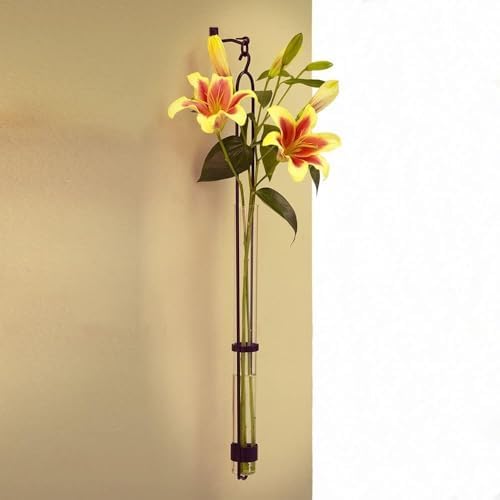 Couronne Company M046-001 Florence Hanger & Wall Hook, 31", Clear, 1 Piece - Image 4