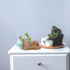 Milisten Lotus Leaf Ceramic Plant Saucer Tray 8 Inch Water Tray for Indoor Bonsai and Flower Pots with Drainage to Protect Floors and Surfaces - Image 6