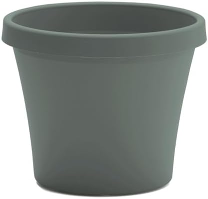 Bloem Terra 6" Plastic Planter, 0.5 Gallon, Basil, 10-Pack - Image 4
